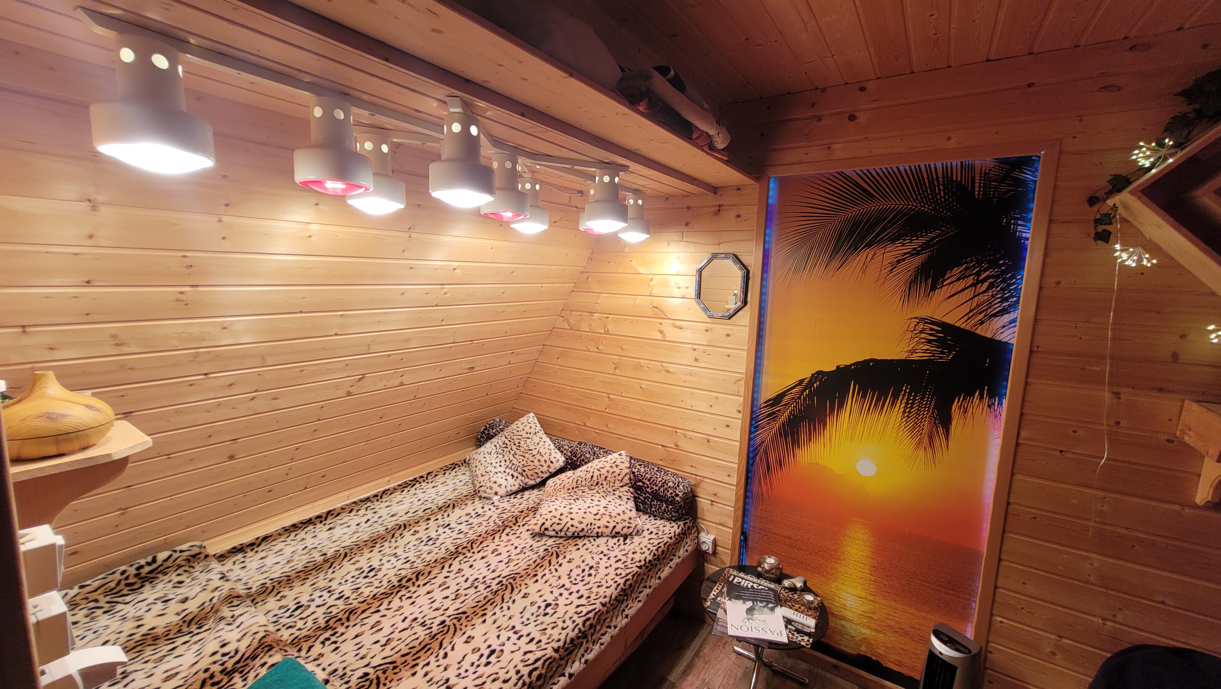 Sonnenstrahler im Sonnenhaus